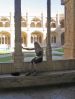 iES-Port-Sept-20050265.jpg