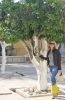 Filename=sd1.jpg
Filesize=153KiB
Dimensions=774x1176
Date added=Feb 10, 2006 sd1.jpg