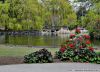 Filename=mp12.jpg
Filesize=289KiB
Dimensions=591x429
Date added=May 26, 2010 mp12.jpg