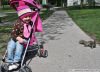 Filename=mp3.jpg
Filesize=92KiB
Dimensions=591x429
Date added=May 26, 2010 mp3.jpg