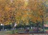 Filename=p3i~7.jpg
Filesize=153KiB
Dimensions=591x429
Date added=Oct 24, 2009 p3i~7.jpg