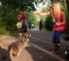 Filename=van_raccoon-1.jpg
Filesize=226KiB
Dimensions=800x707
Date added=Aug 18, 2009 van_raccoon-1.jpg